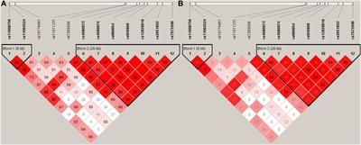 Association study of WNK1 genetic variants and essential hypertension risk in the Northern Han Chinese in Beijing